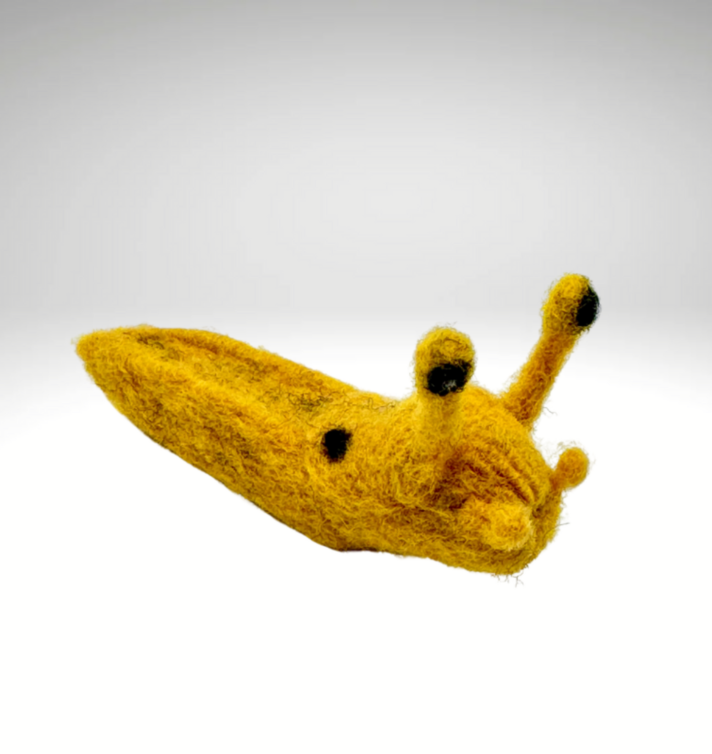 Slug, Banana Slug
