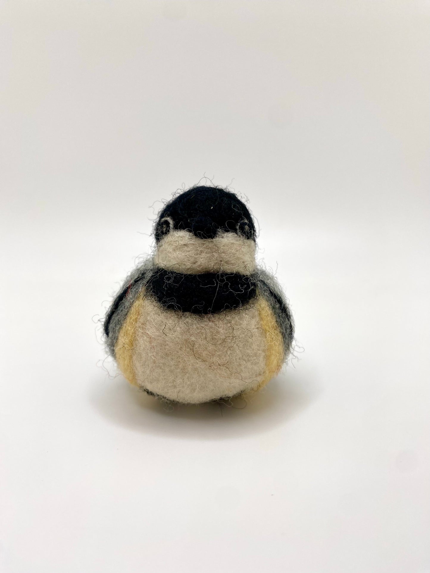 Chickadee