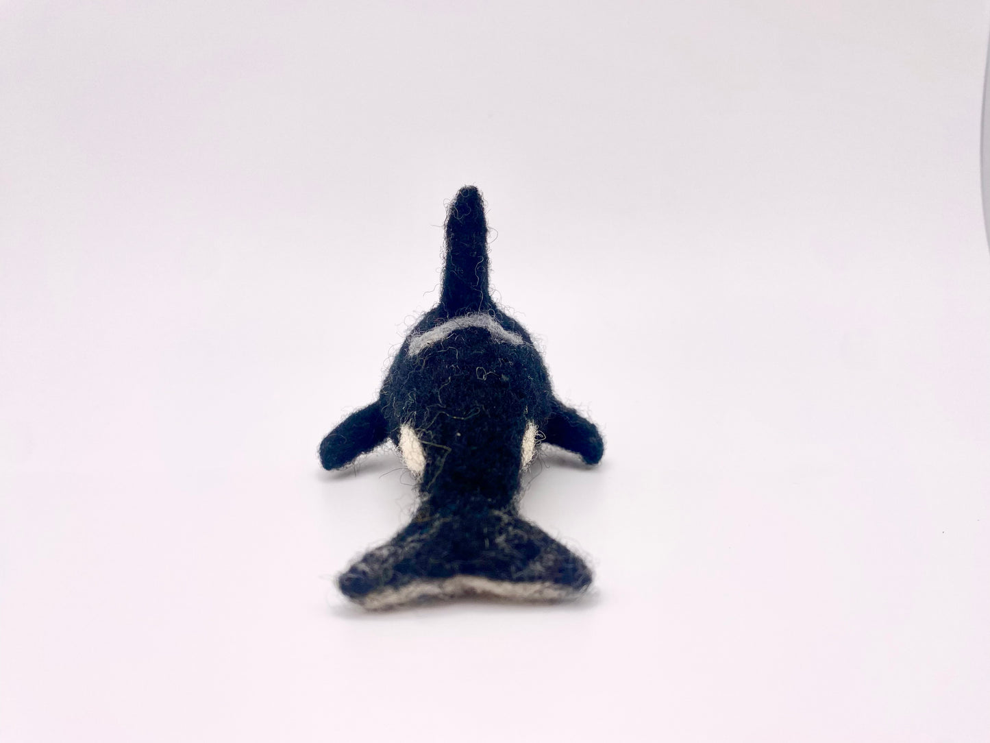 Orca