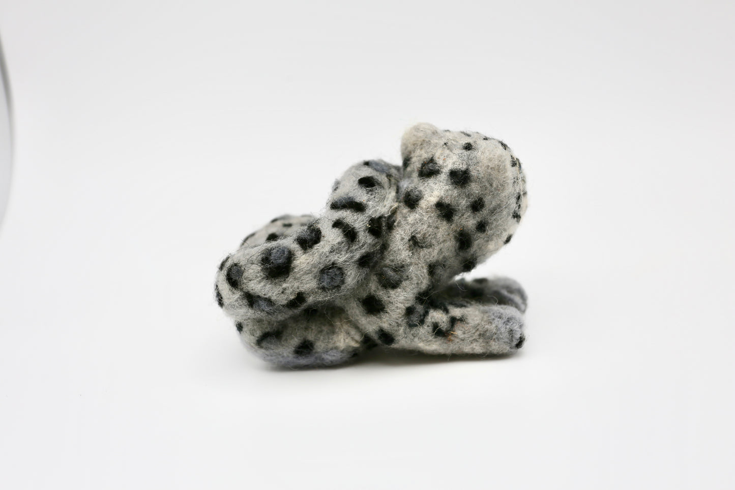 Snow Leopard