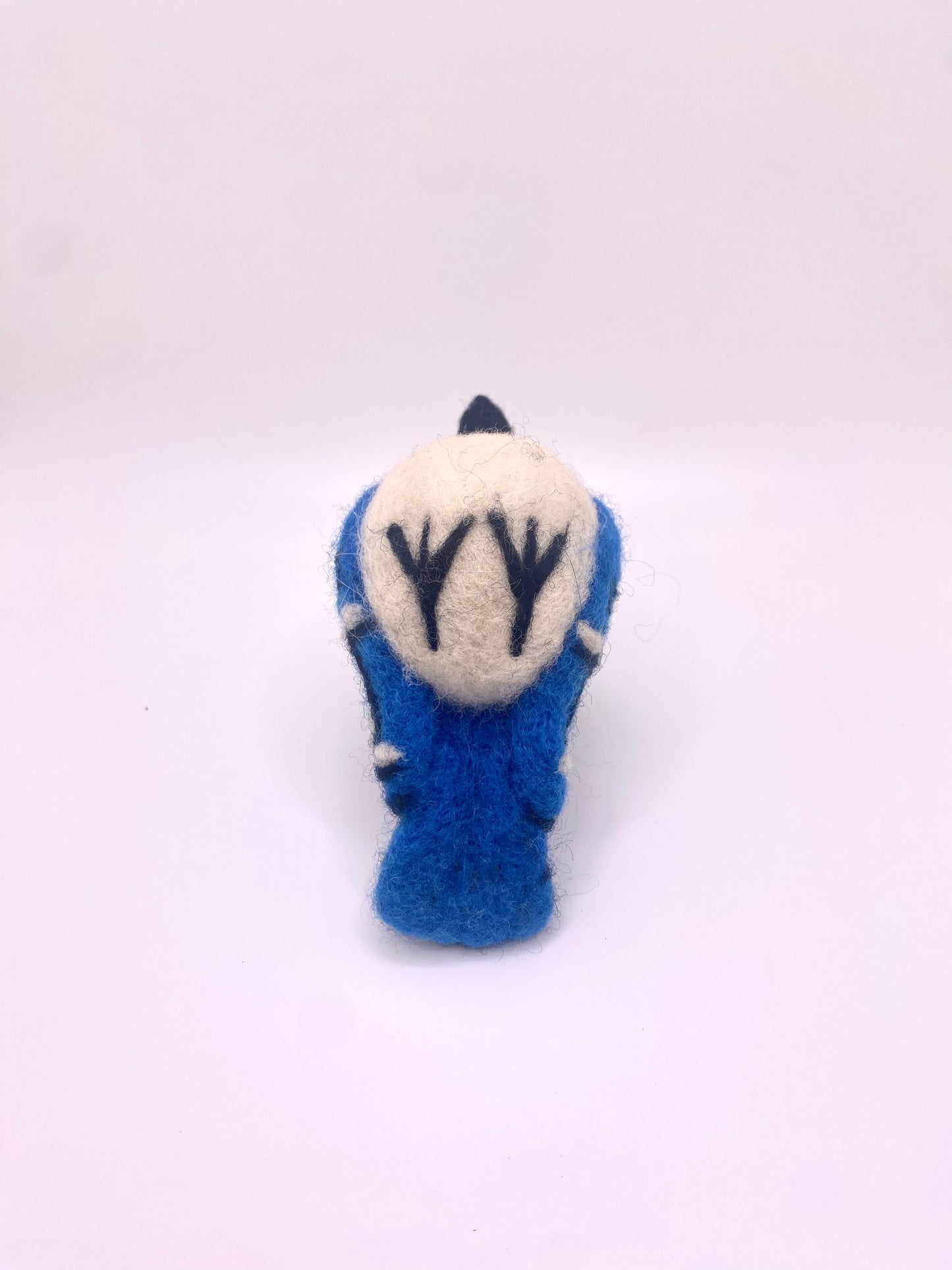 Blue Jay B