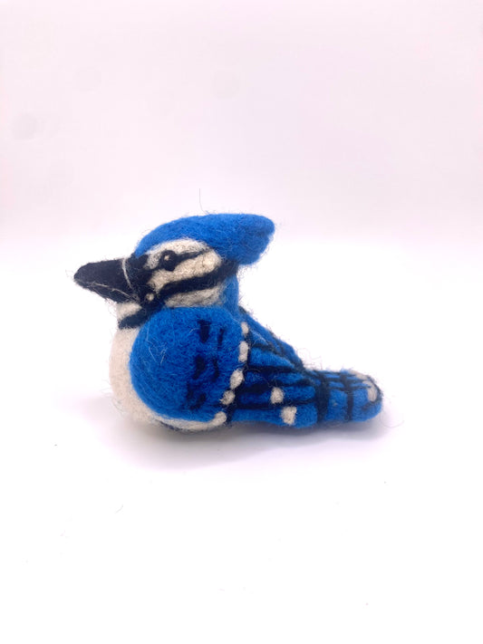 Blue Jay B