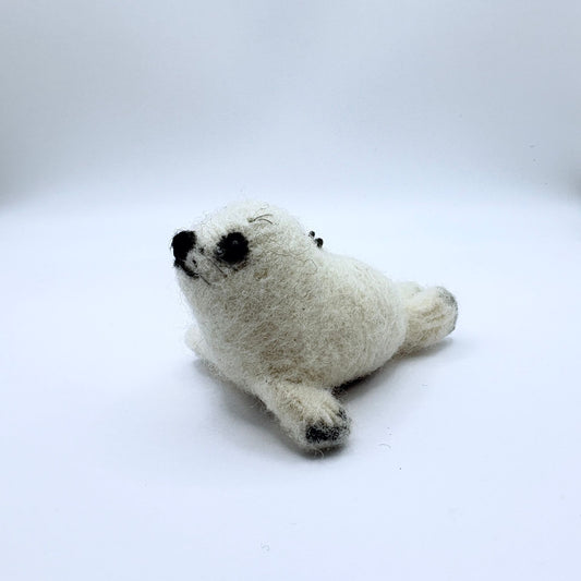 Seal Pup