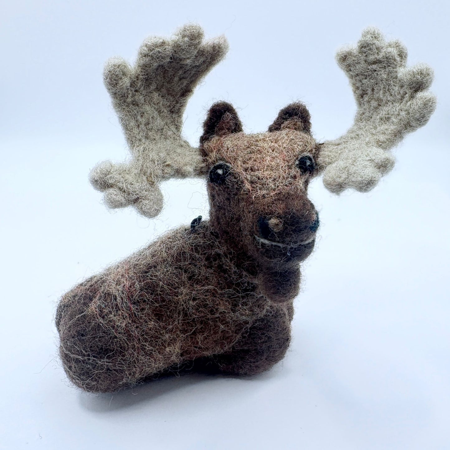Moose