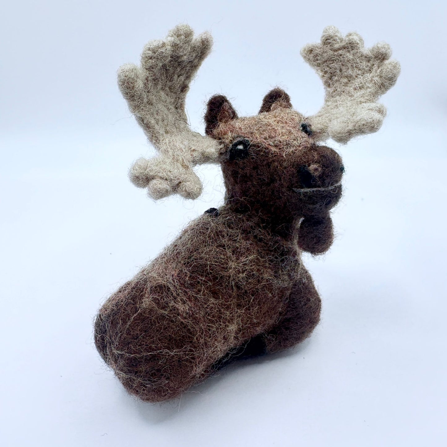 Moose