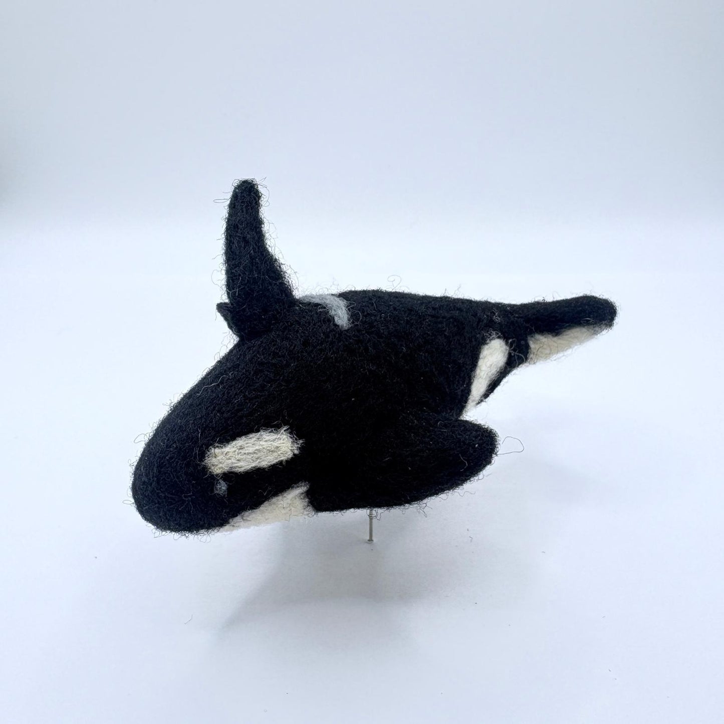 Orca