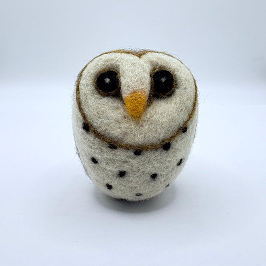 Owl, Barn