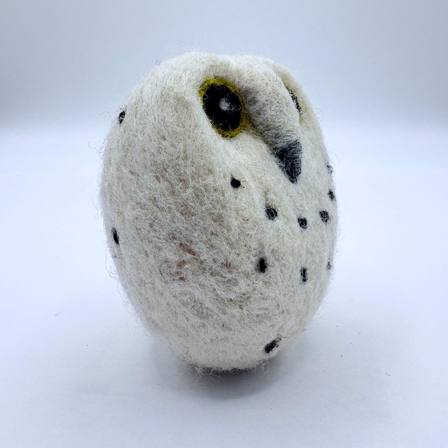 Owl, Snow