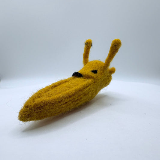 Slug, Banana Slug