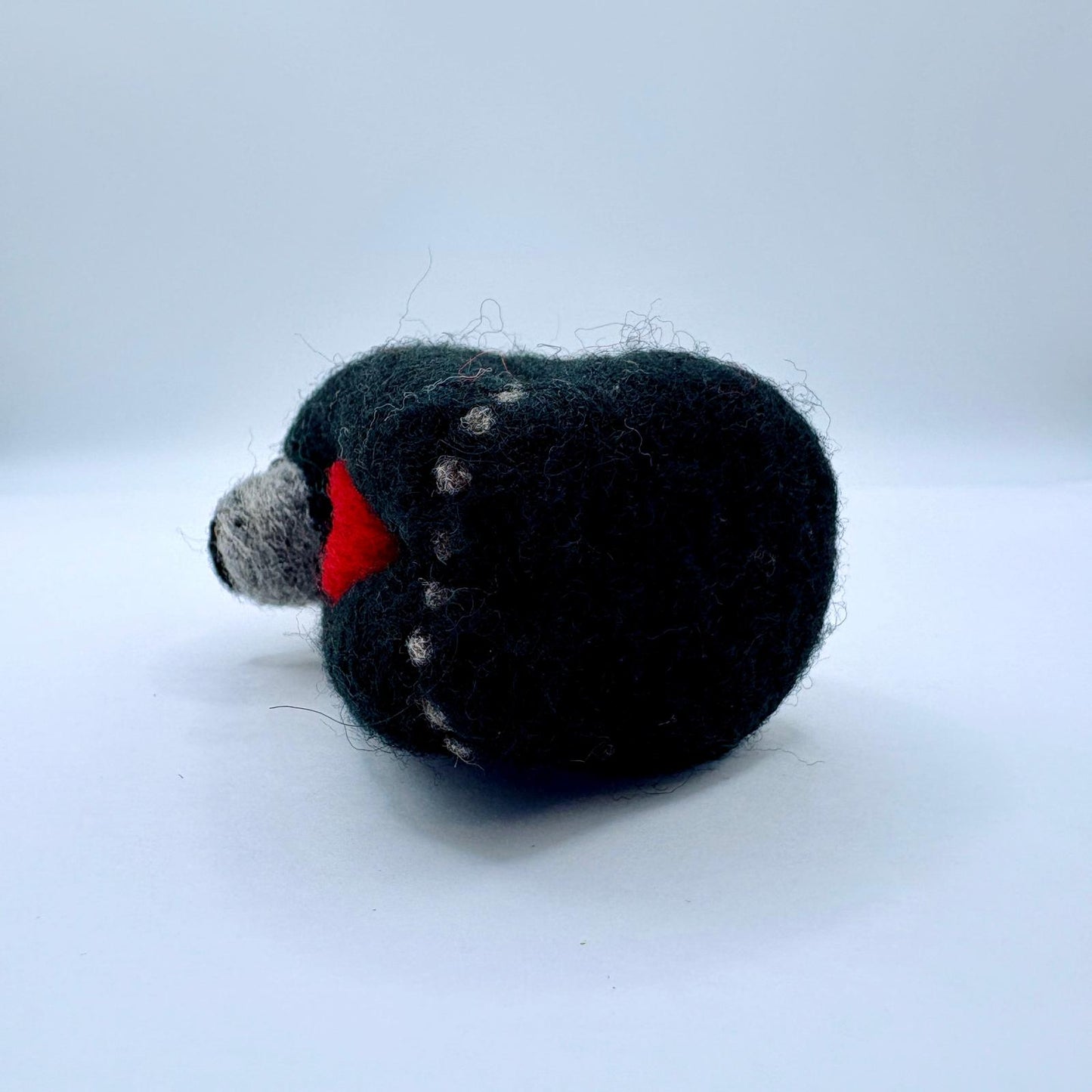 Black Bear with Heart