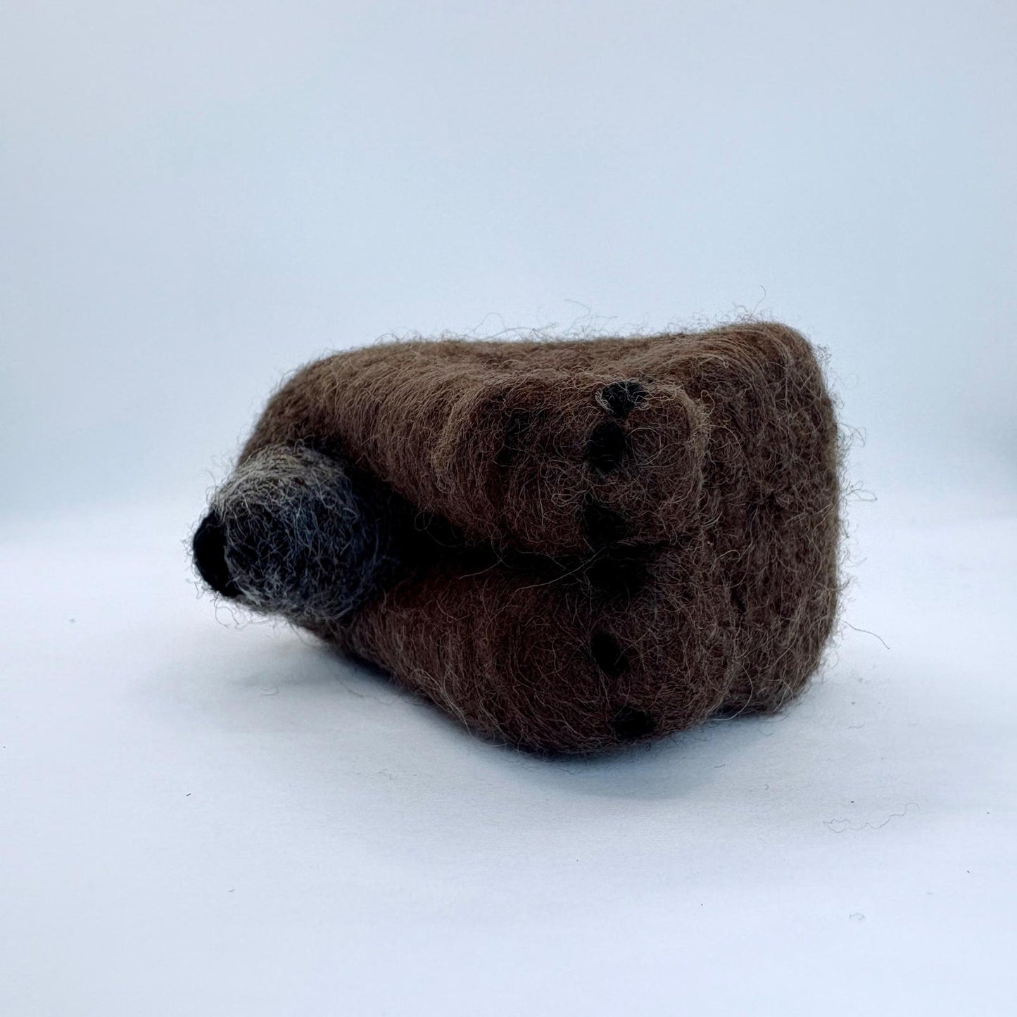 Grizzly Bear