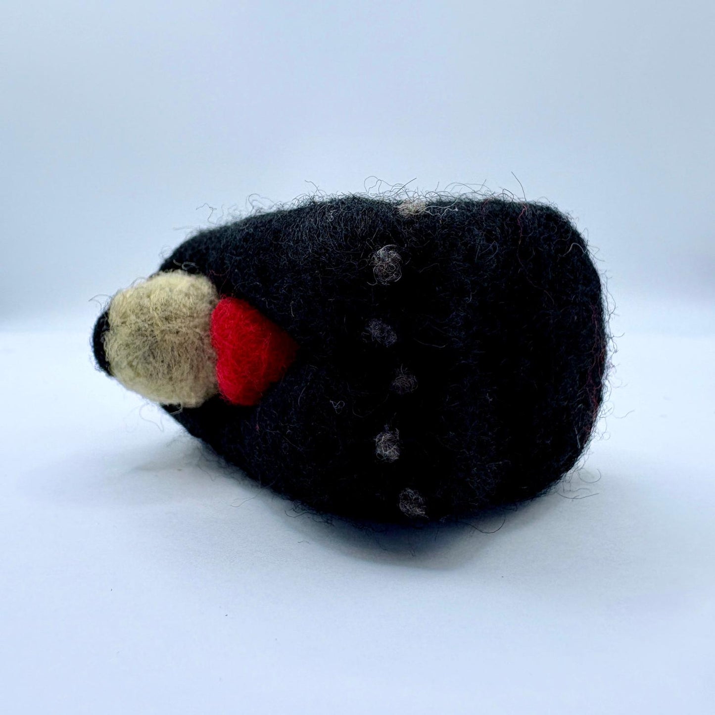 Spectacled Bear with Heart