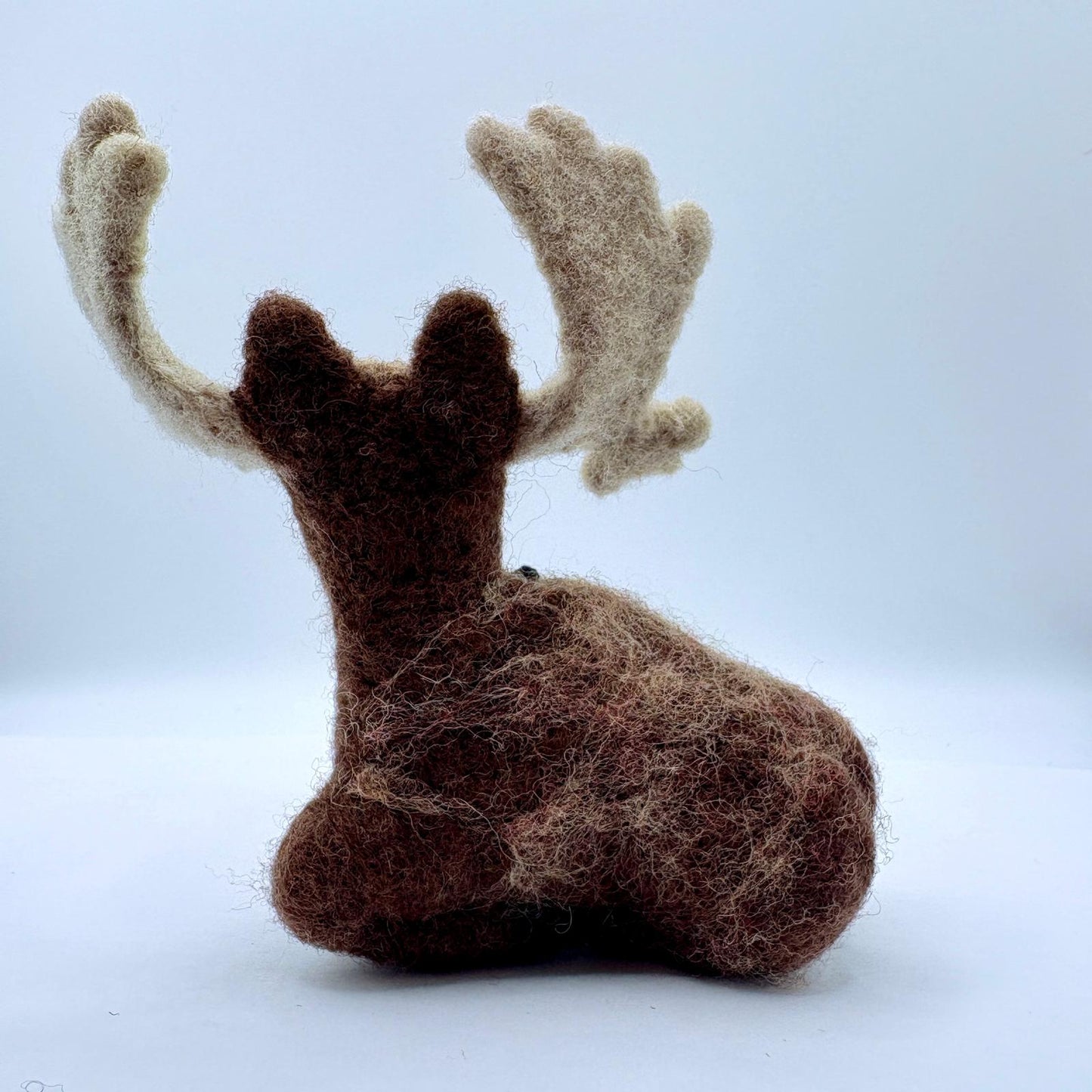 Moose