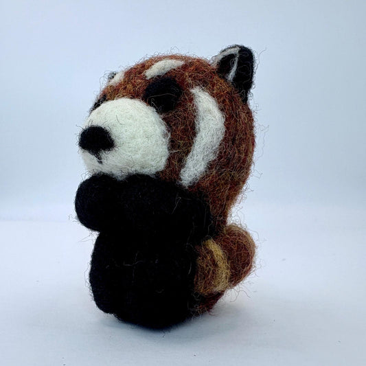 Red Panda