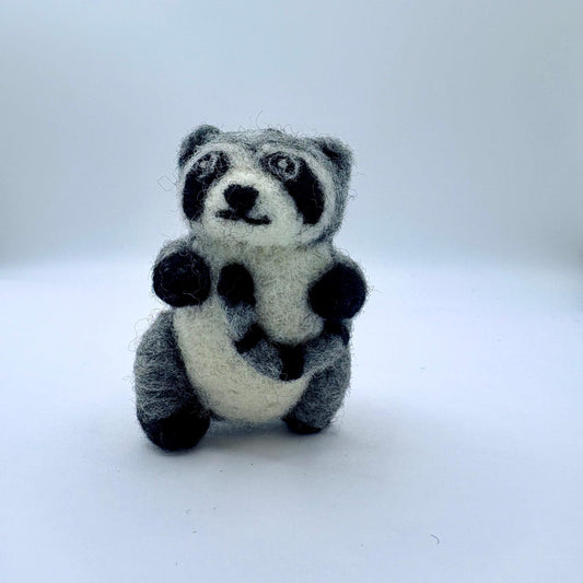 Raccoon