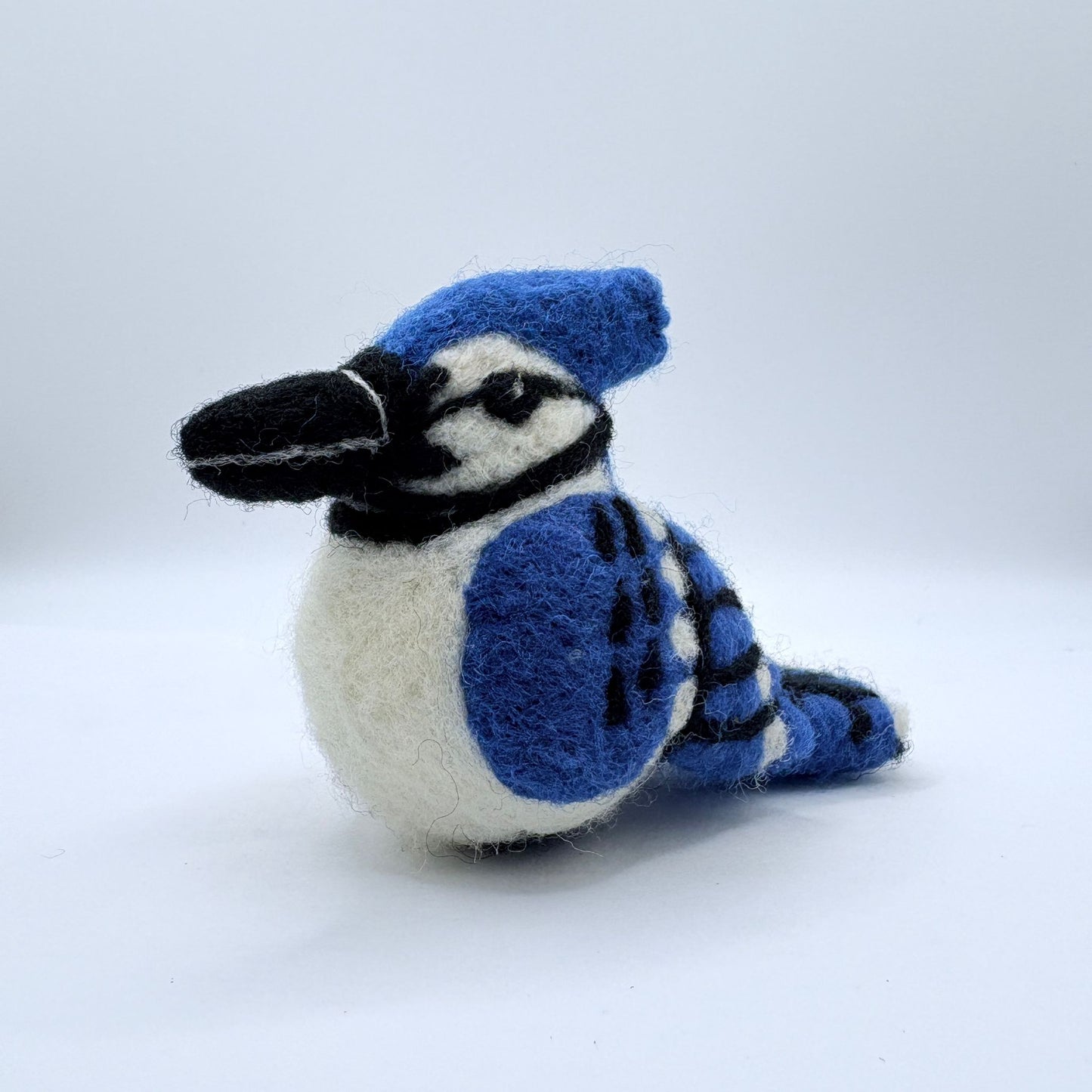 Blue Jay B