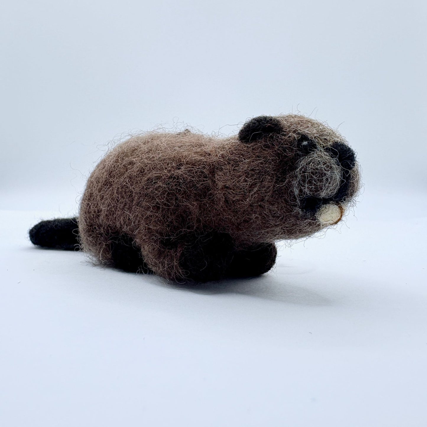 Beaver