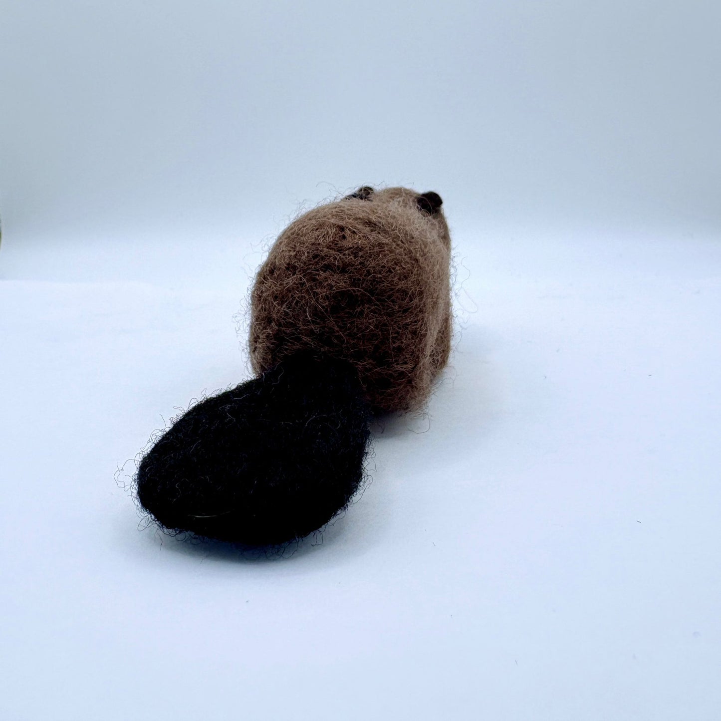 Beaver