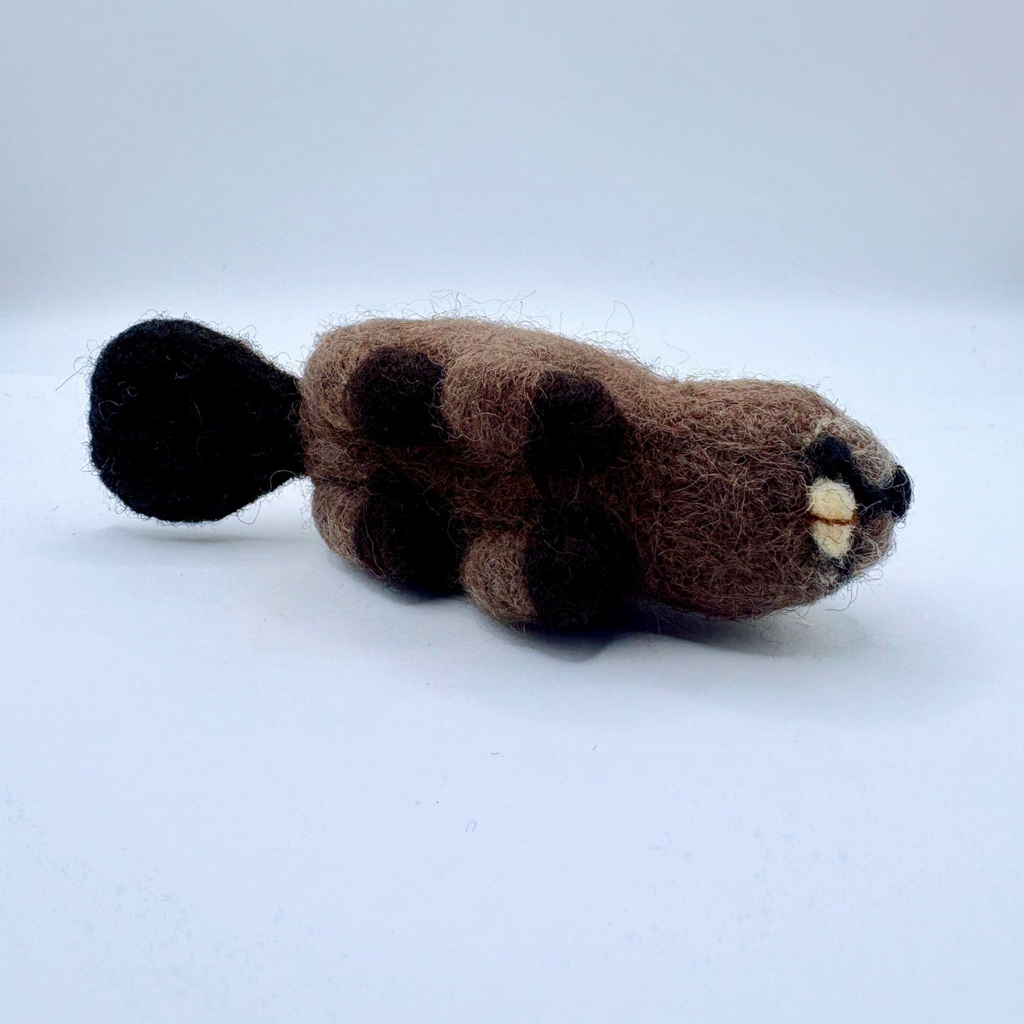 Beaver
