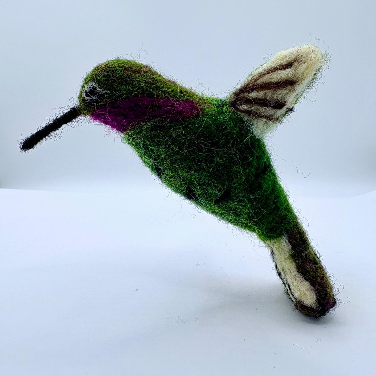 Hummingbird, Anna's