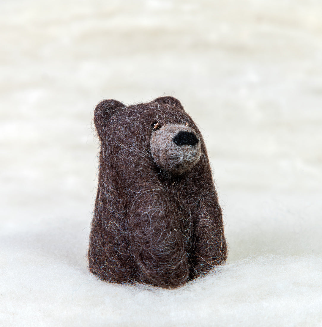 Grizzly Bear