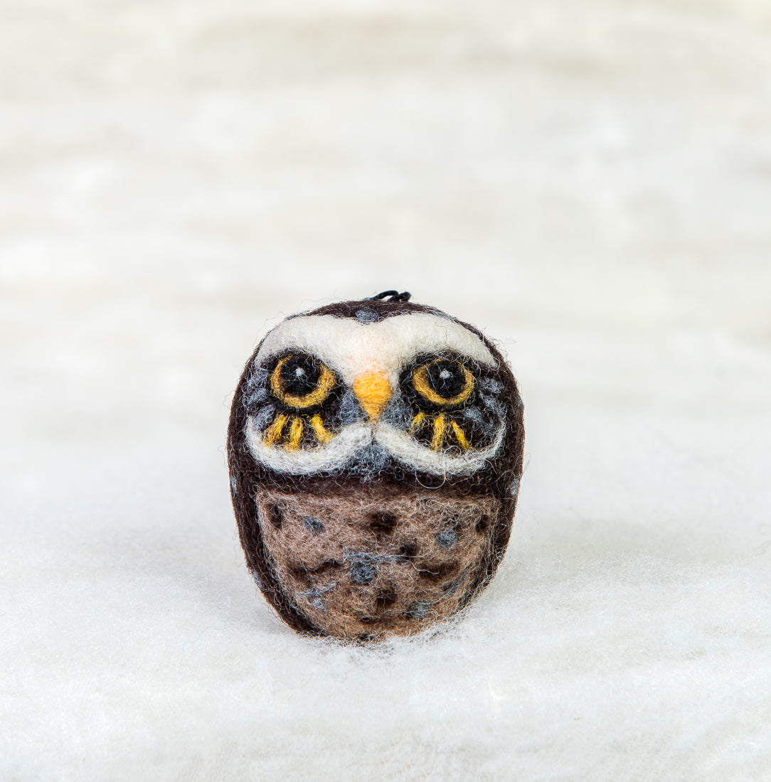 Burrowing owl