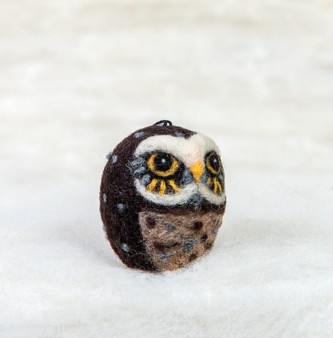 Burrowing owl