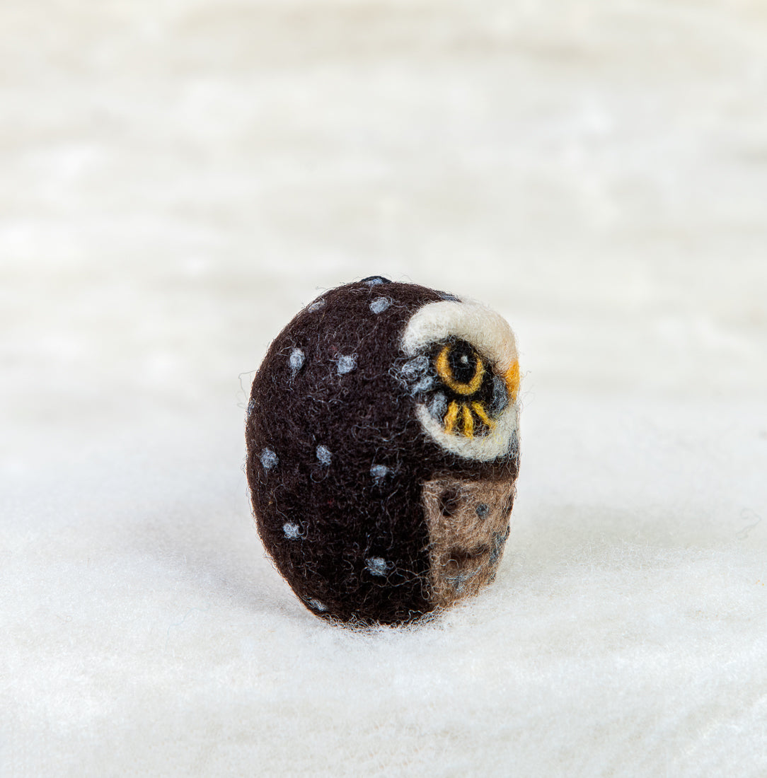 Burrowing owl
