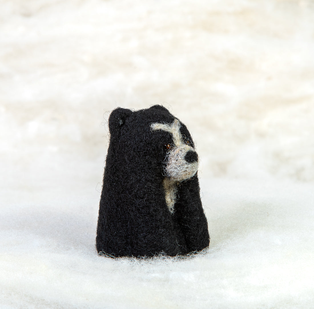 Spectacled Bear