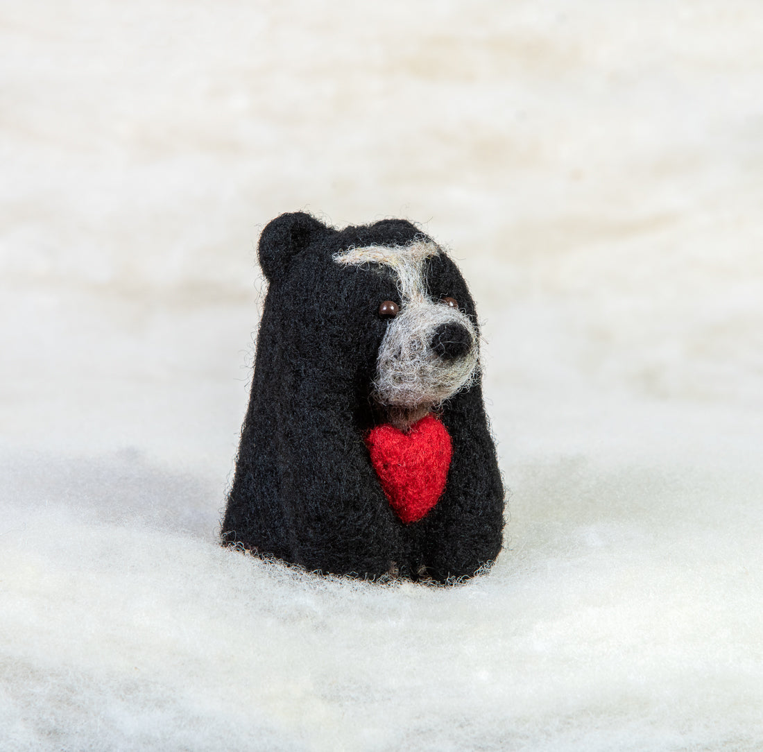 Spectacled Bear with Heart