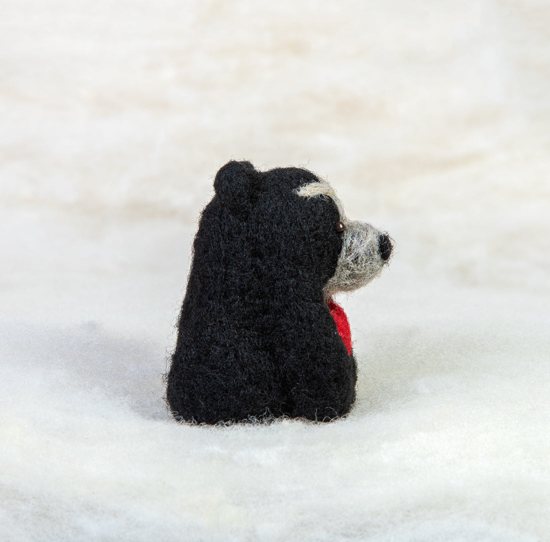 Spectacled Bear with Heart