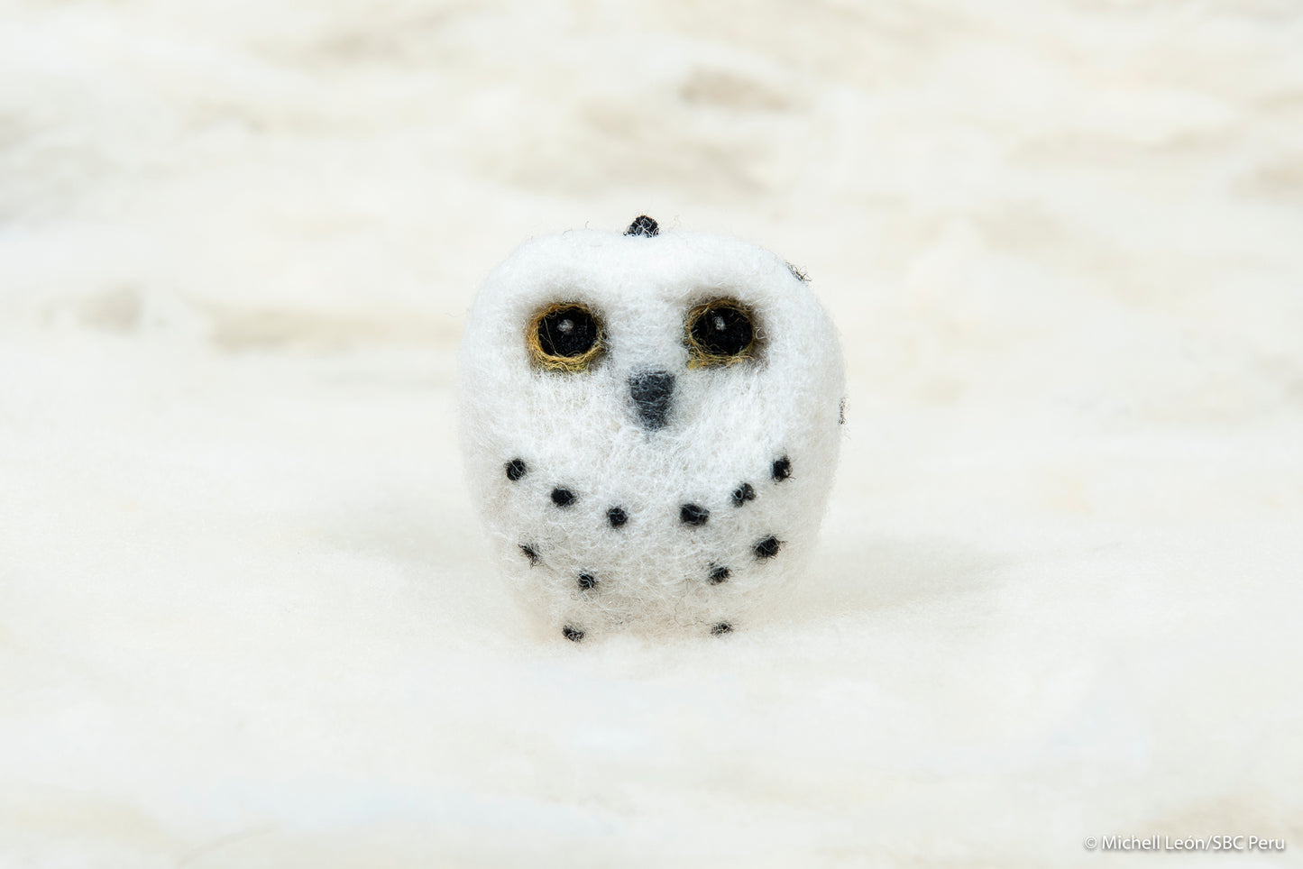 Owl, Snow