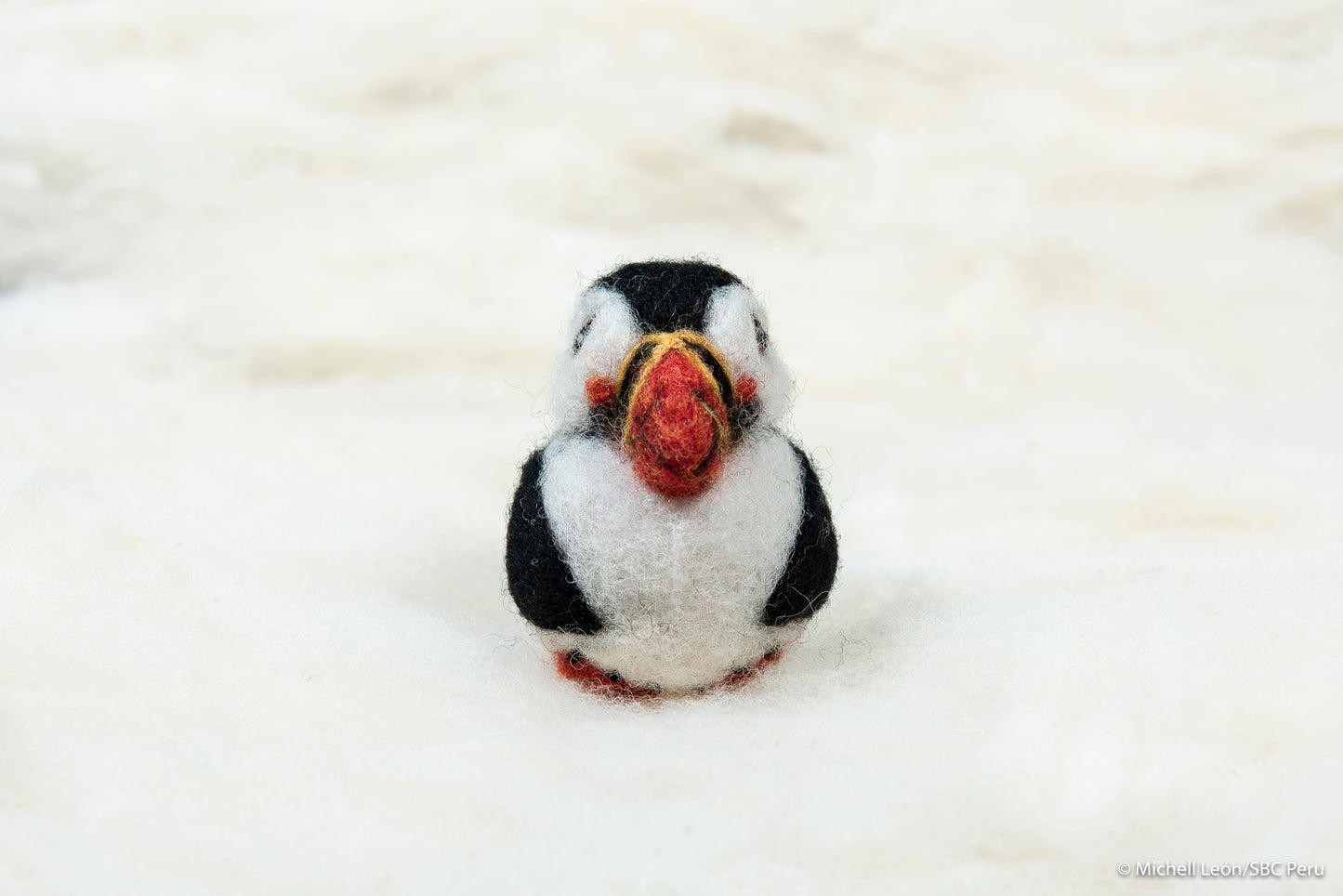 Puffin