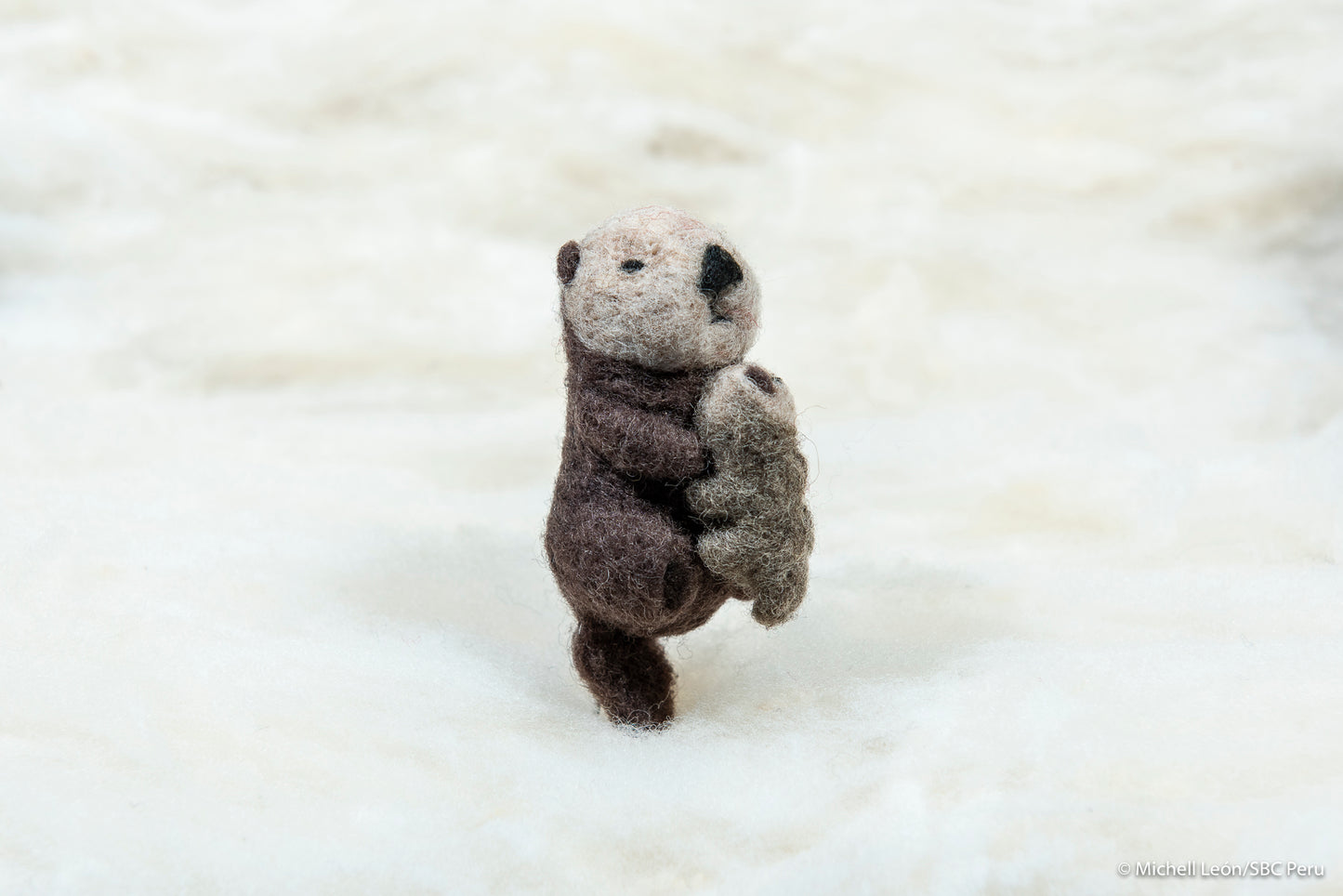 Otter with pup