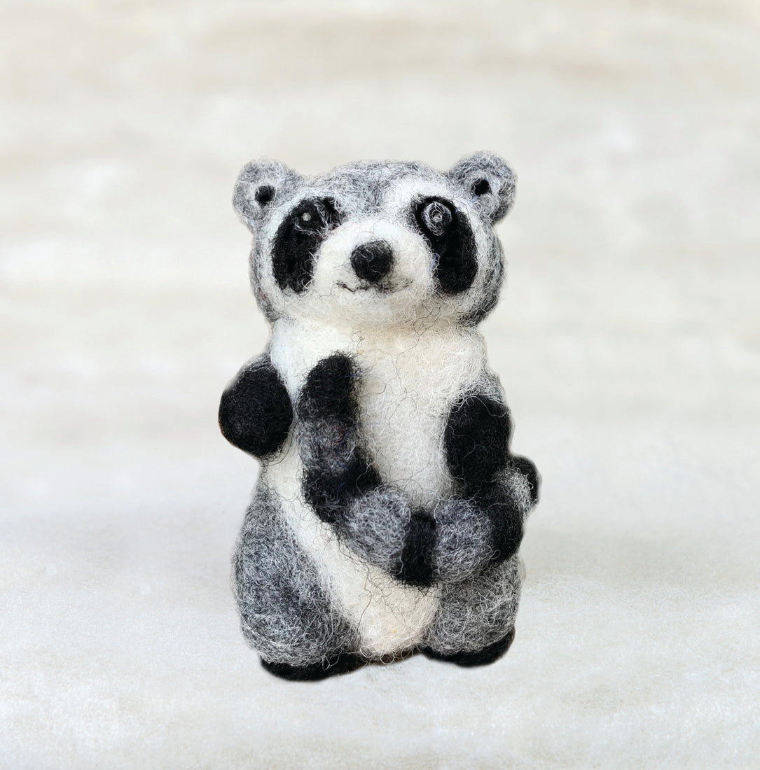 Raccoon