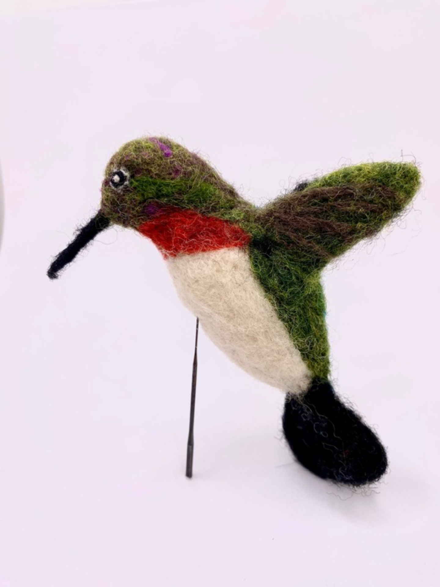Hummingbird, Ruby