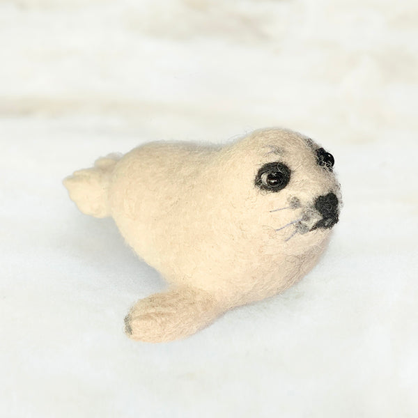 Seal Pup