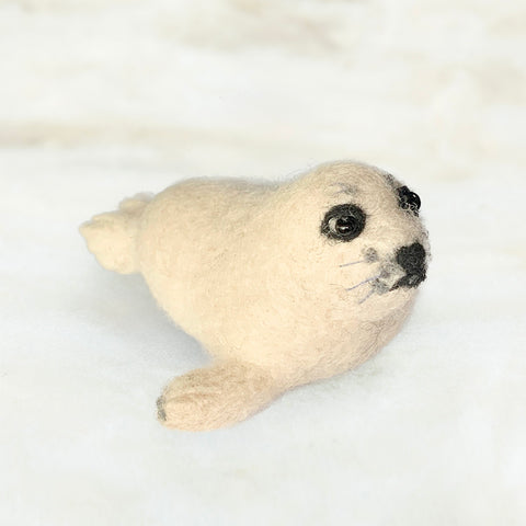 Seal Pup