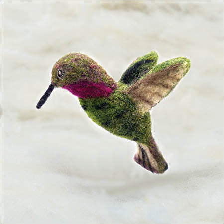 Hummingbird, Anna's