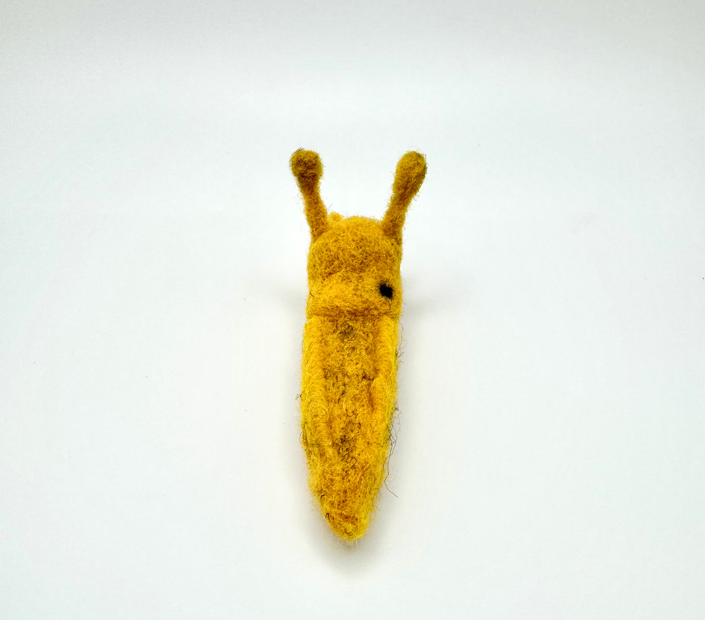 Slug, Banana Slug