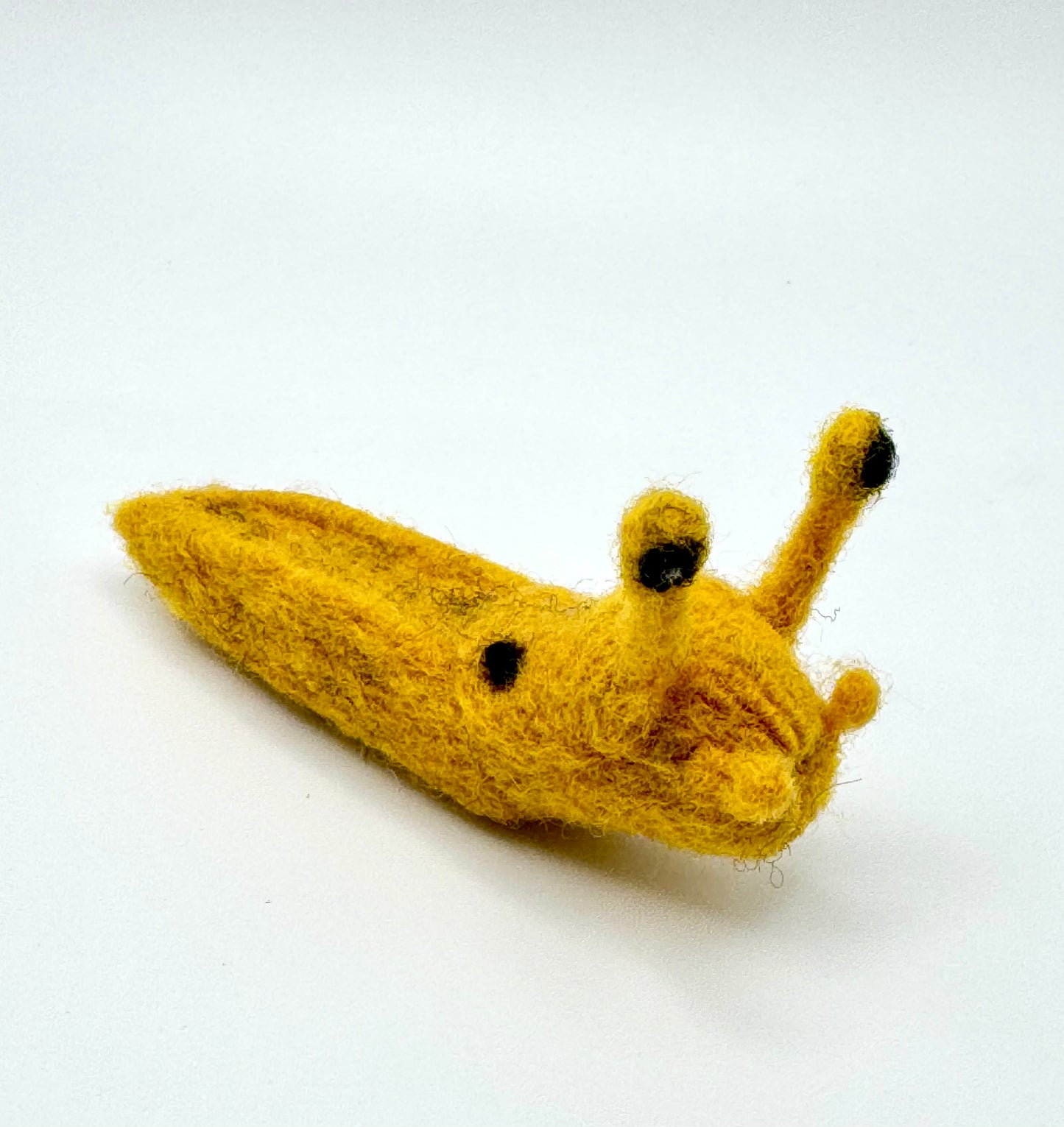 Slug, Banana Slug
