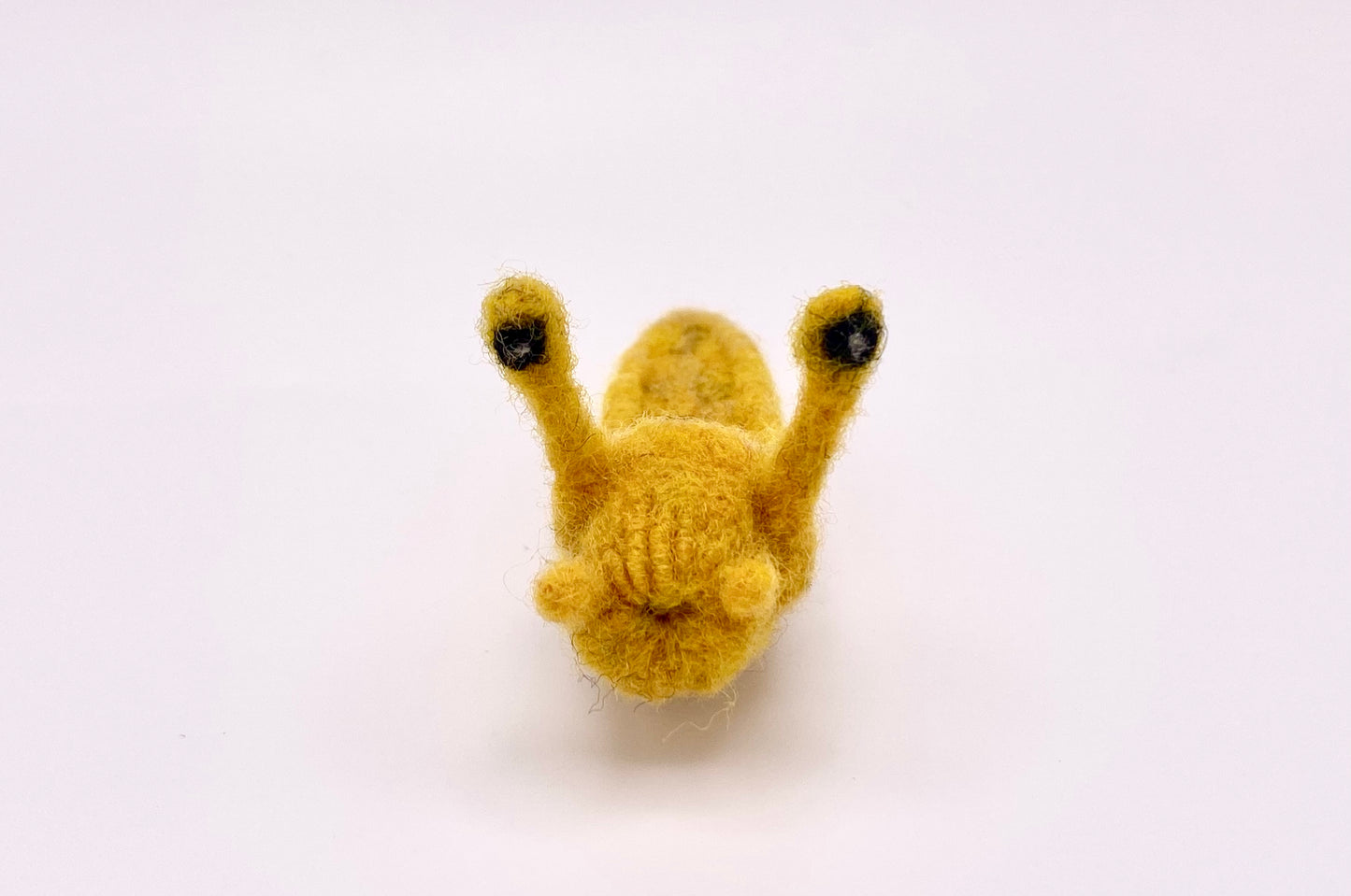 Slug, Banana Slug
