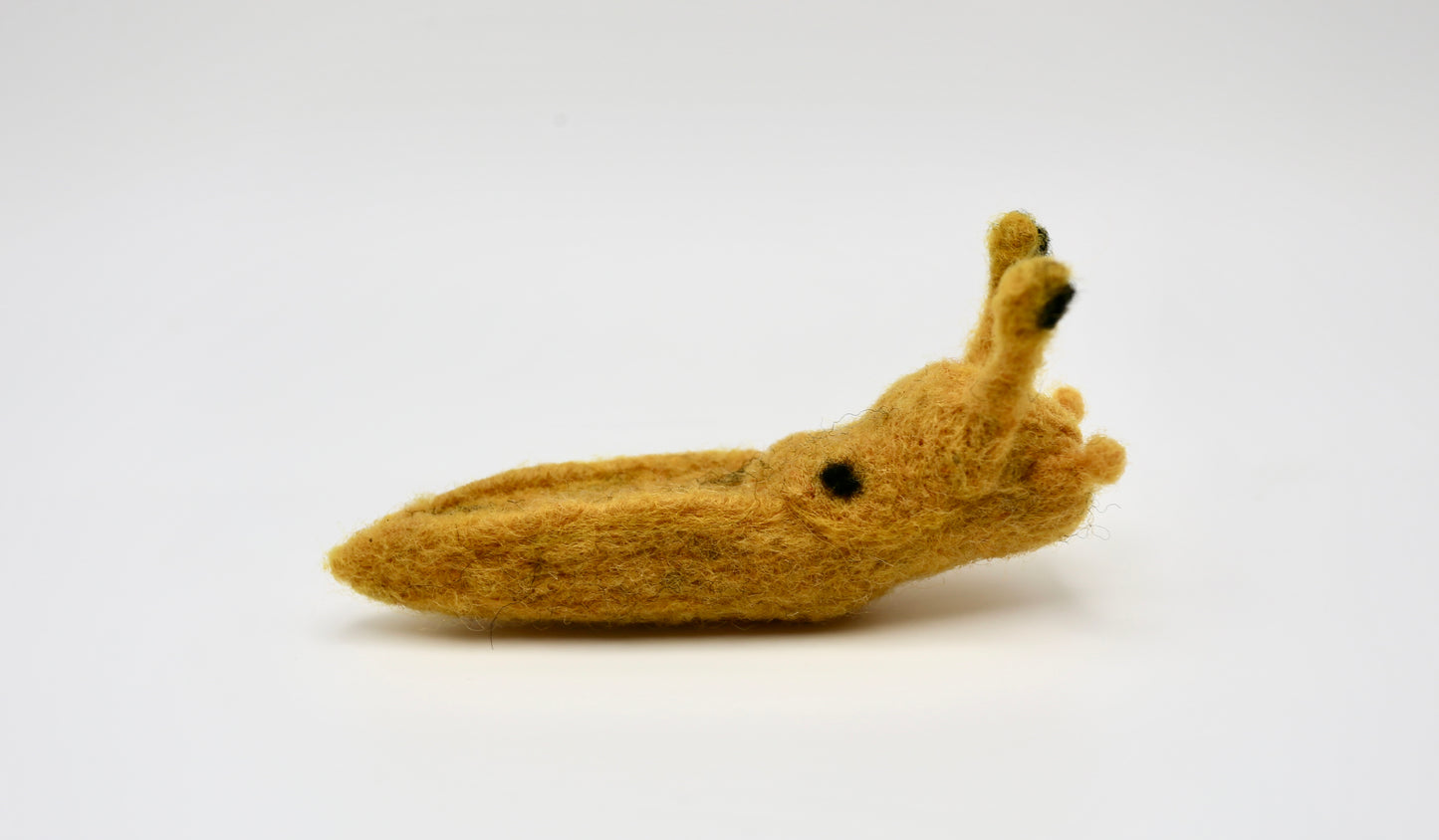 Slug, Banana Slug