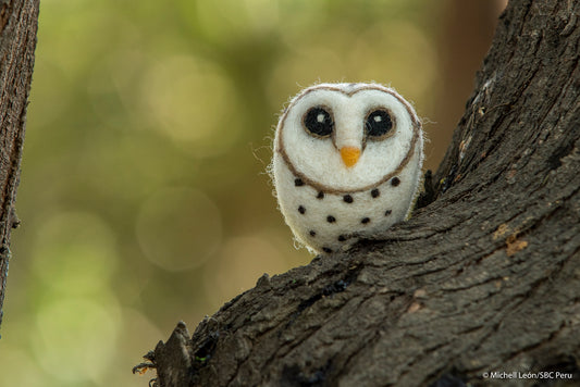 Owl, Barn
