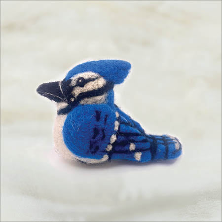 Blue Jay B