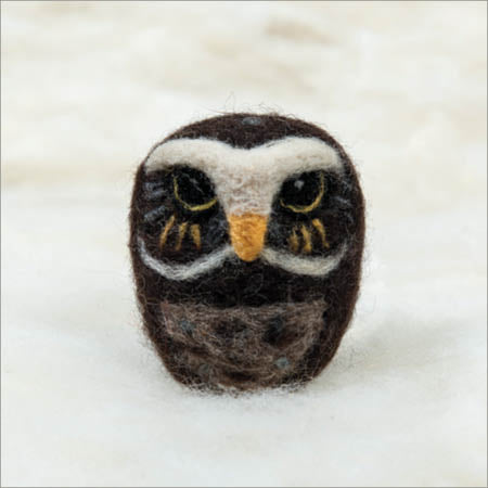 Owl, Burrowing