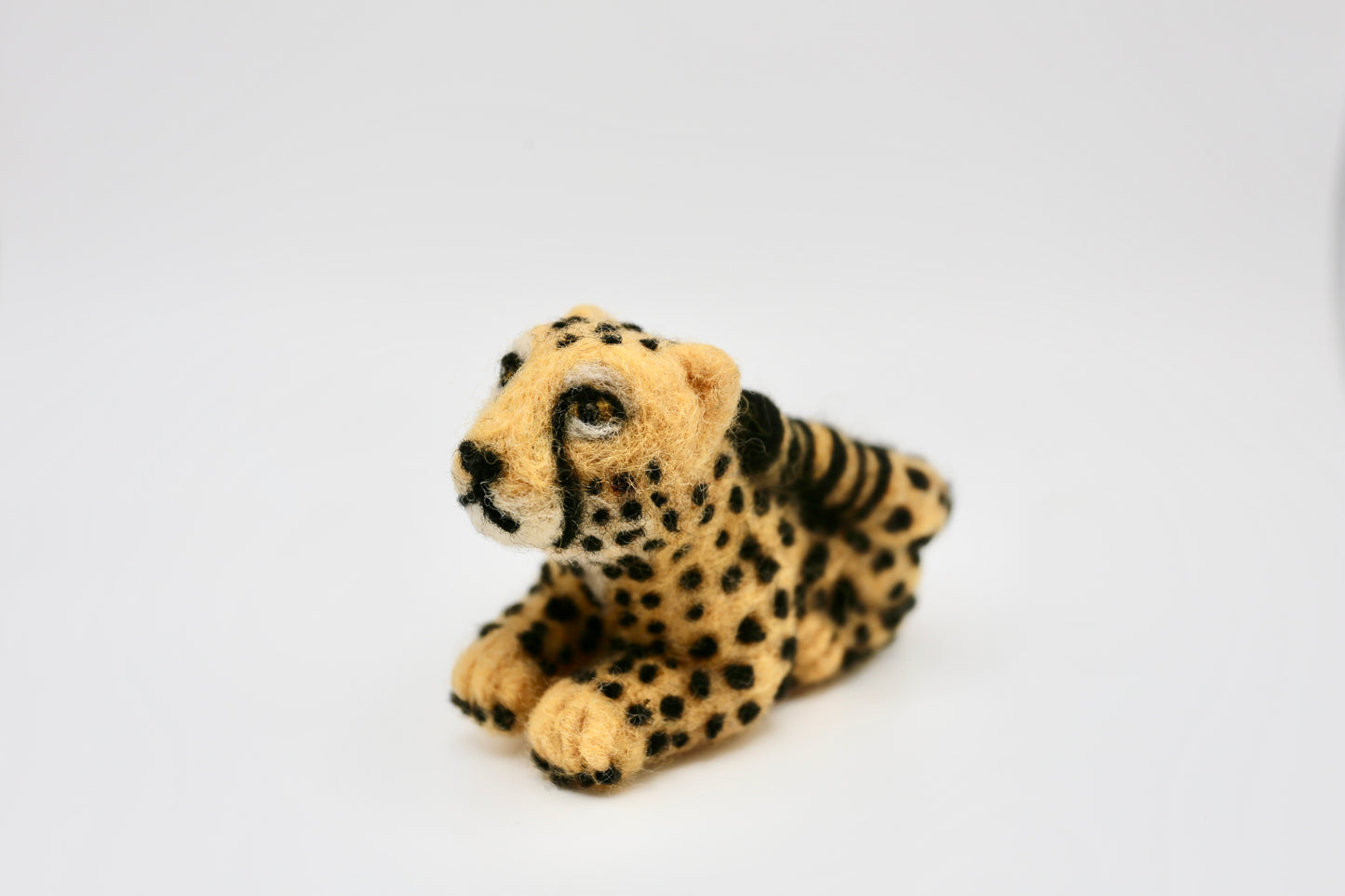 Cheetah