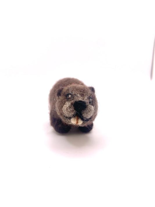 Beaver