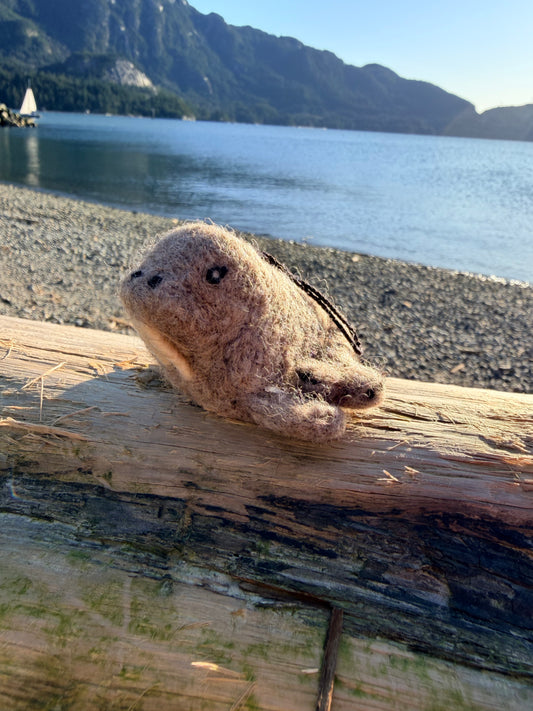Walrus
