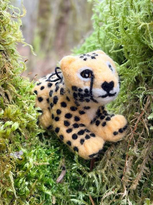 Cheetah